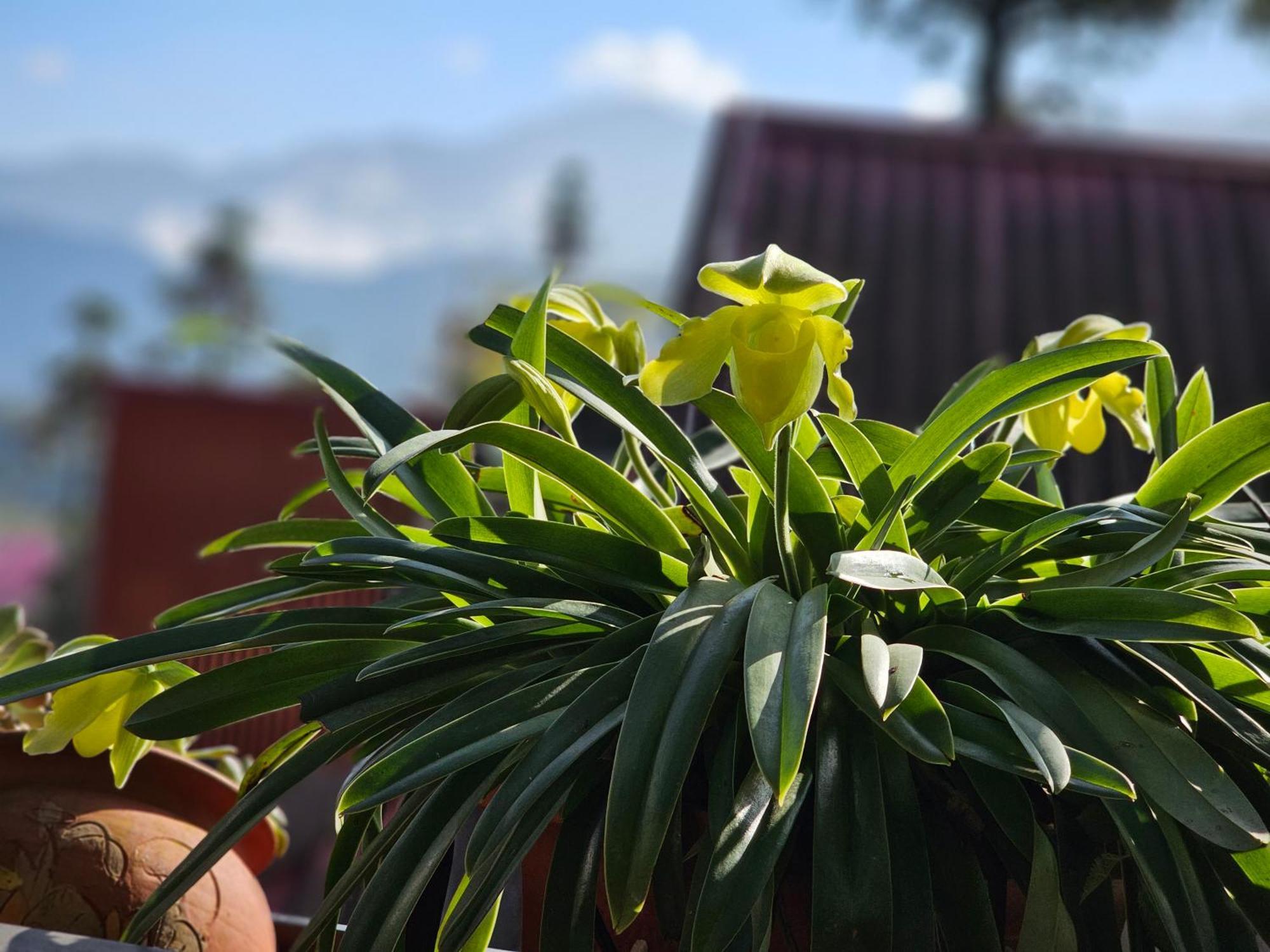 Dang Khoa Garden Inn Sapa Exterior foto