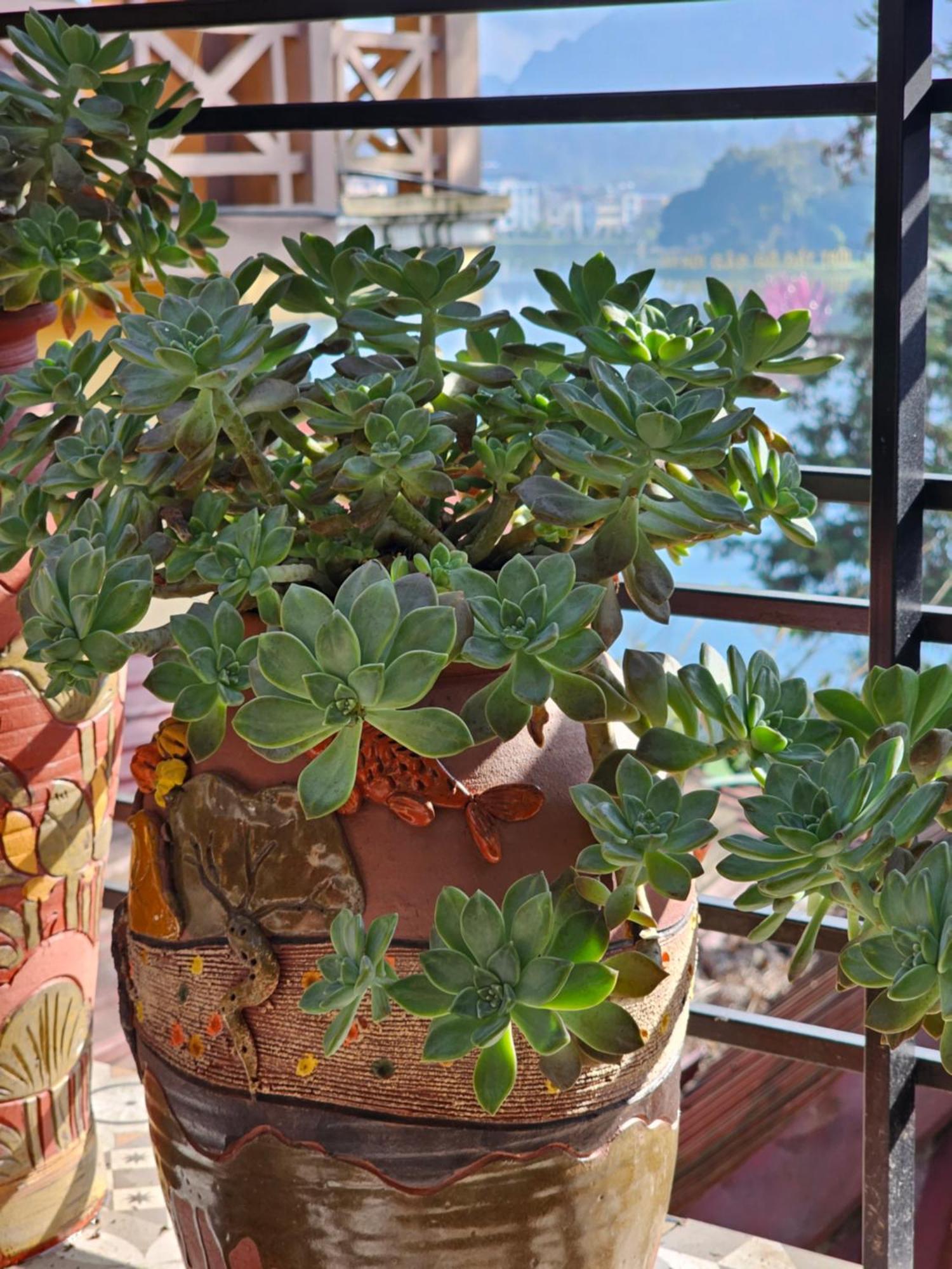 Dang Khoa Garden Inn Sapa Exterior foto