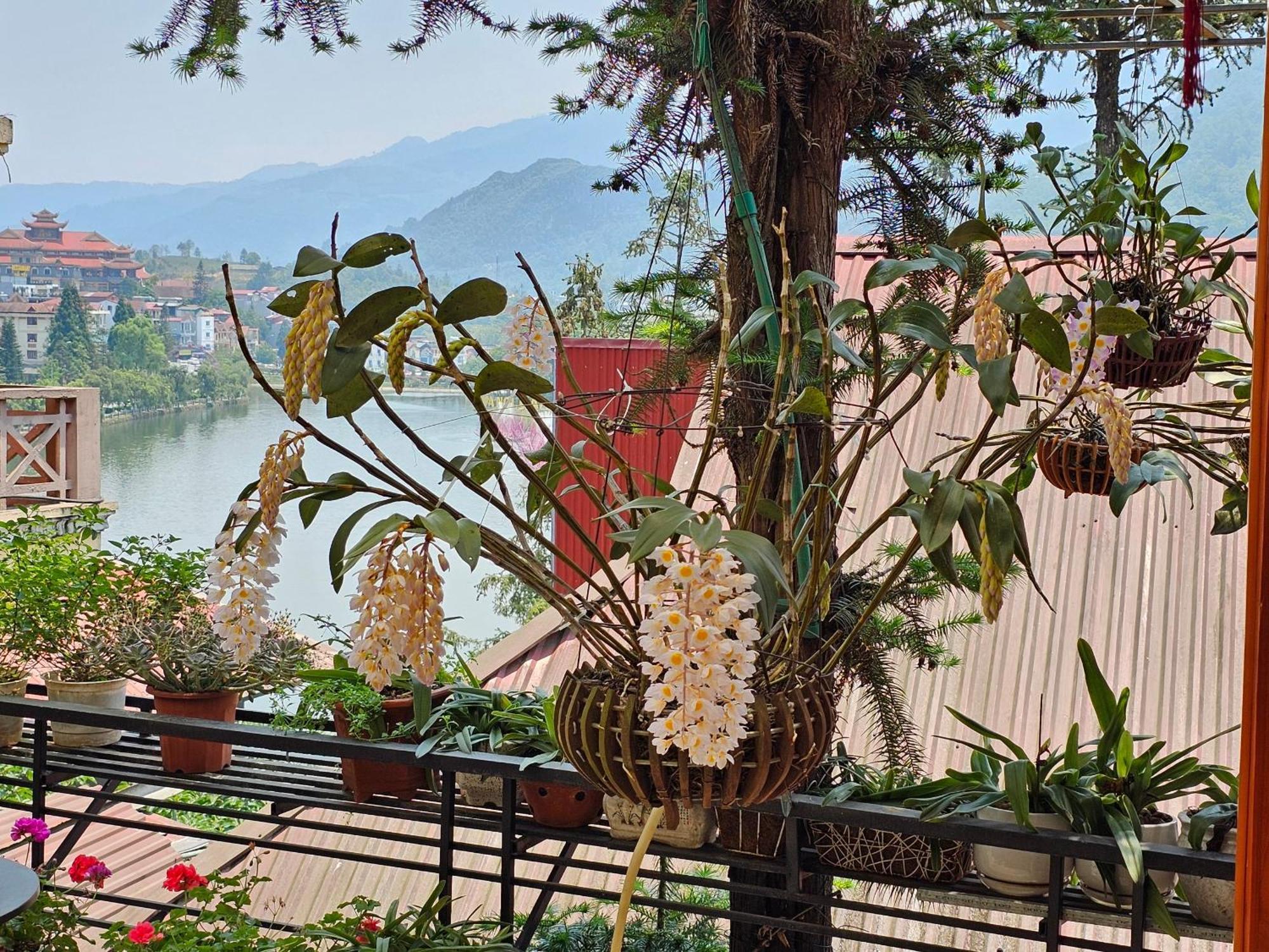 Dang Khoa Garden Inn Sapa Exterior foto