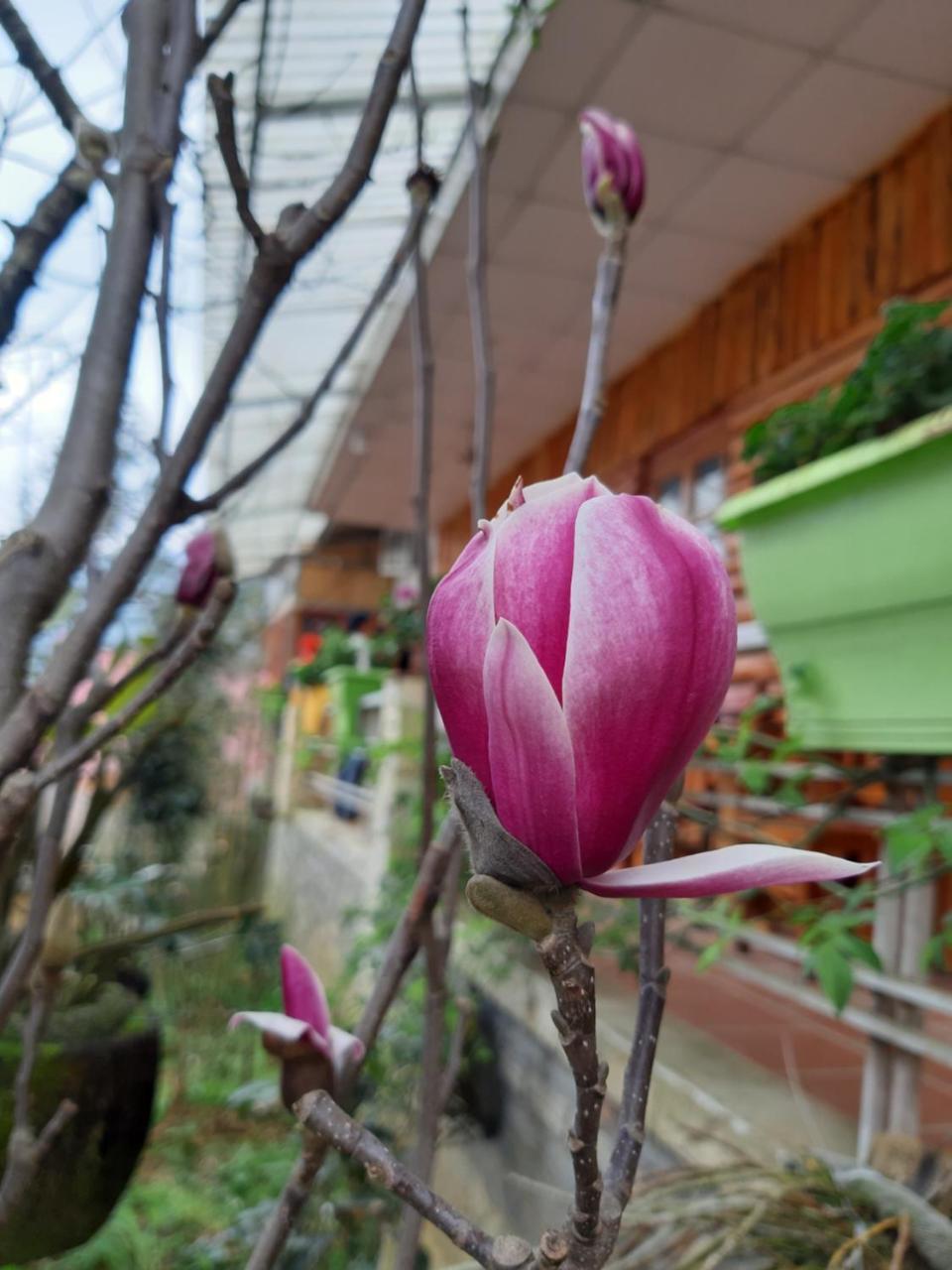 Dang Khoa Garden Inn Sapa Exterior foto